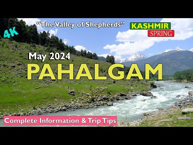 Pahalgam Kashmir | May 2024 | Complete Trip Guide |Aru Valley | Betab Valley  | travel information|