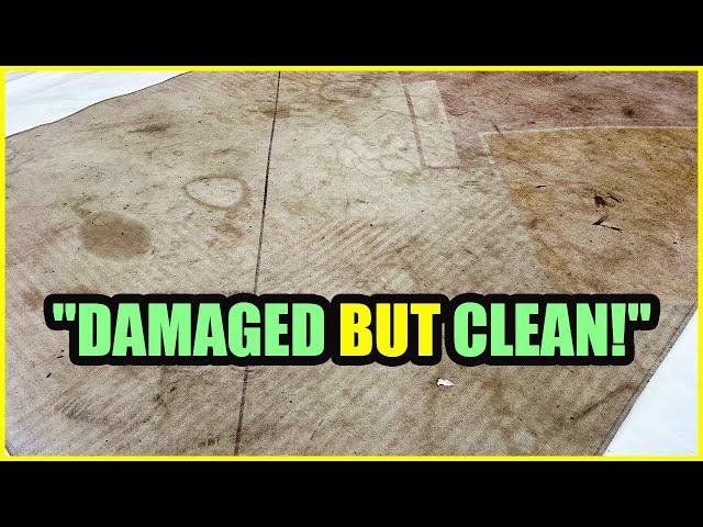 Damaged Due to Years of Negligence  | Satisfying ASMR Rug Cleaning  | C3 LAUNDRY SERVICE