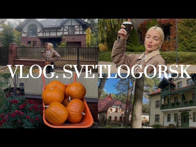 29. VLOG | Светлогорск, уютная поездка и форум предпринимателей