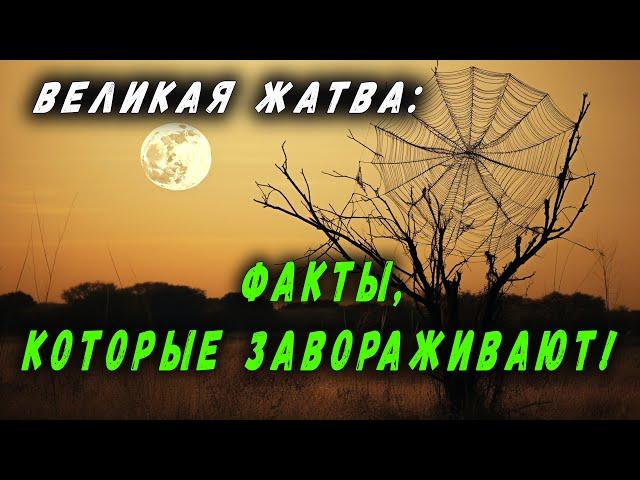 ВЕЛИКАЯ ЖАТВА: ФАКТЫ, КОТОРЫЕ ЗАВОРАЖИВАЮТ