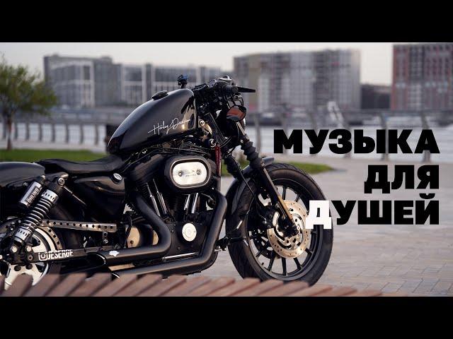 Сел, обалдел!HARLEY DAVIDSON SPORTSTER 1200 S.