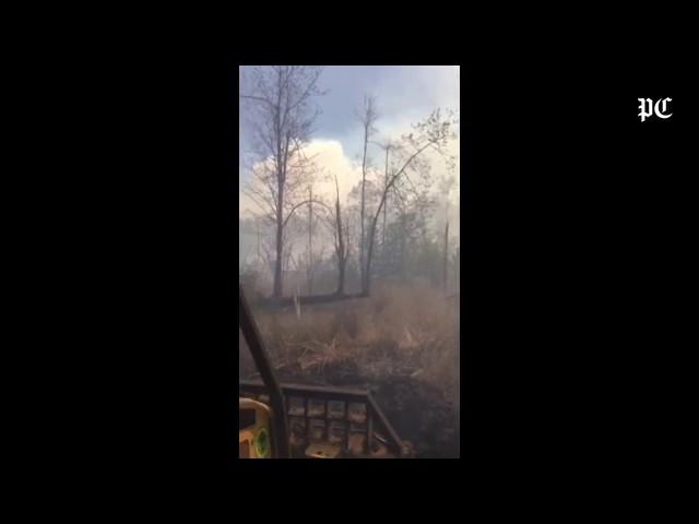 S.C. Forestry Commission firefighter David Hardy took this video after a fire at Parkers Ferry surro