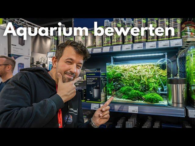 So werden Aquarien bei Wettbewerben bewertet!