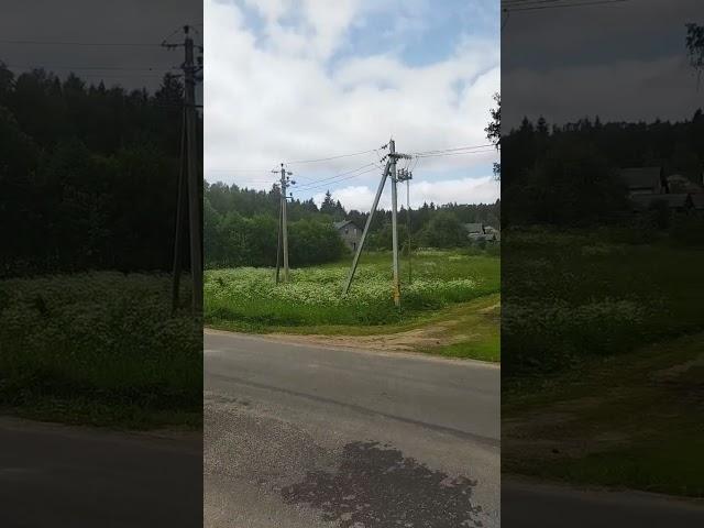 прогулка #жизньпенсионера