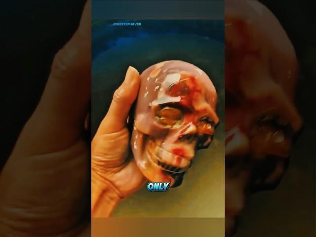 He Thought It Was a Skull... 