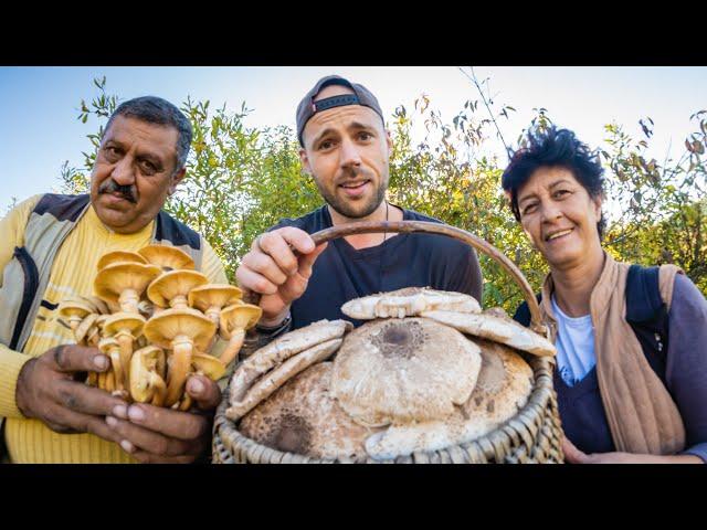 Living with the Mushroom People of Romania