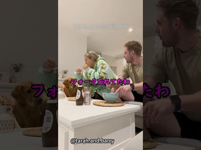 ADHDの日常