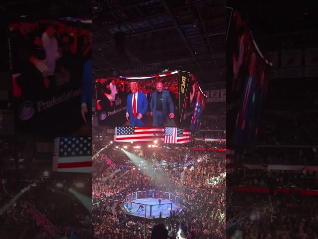 Donald Trump arrives at UFC 316 to thunderous applause, Elon Musk absent #shorts