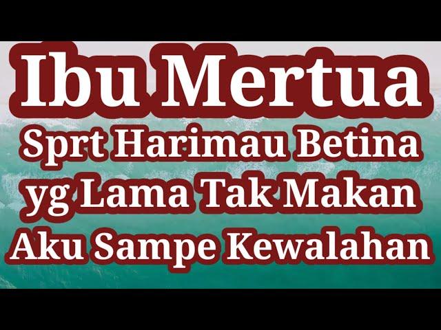 Aku Datang Kerumah Mertua Dengan Naik Sepeda motor ll cerpen romantis