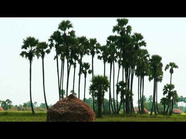 A Village in Andhra Pradesh