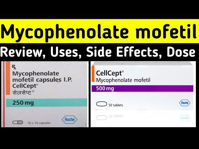 Mycophenolate Mofetil 500 mg in hindi - Cellcept 500mg tablet - Uses, Mechanism of action, Dose