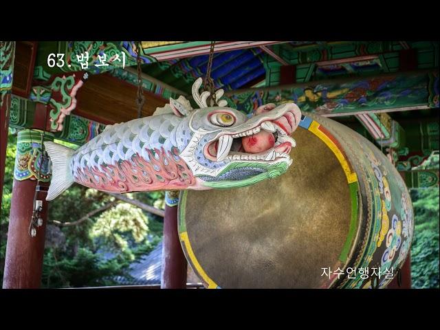 63법보시