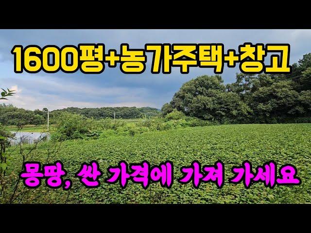 한적 조용한 곳 값싼, 양평 토지 농가주택 시골집 창고 부동산 매매 매물 급매 급매매 급매물