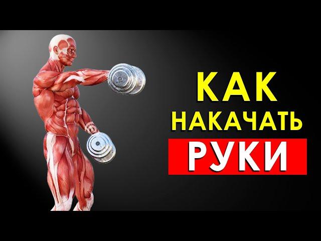 Как Накачать Руки в Домашних Условиях