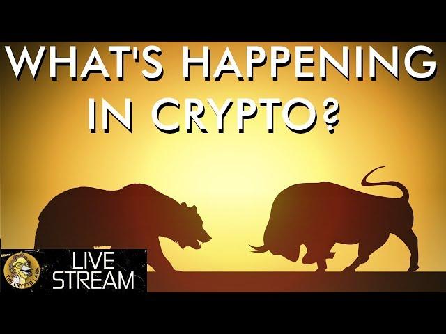 What's Happening in Crypto With Crypto Zombie