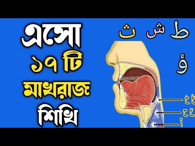 Makhraj of Arabic letters || মাখরাজ || সহি কোরআন শিখুন