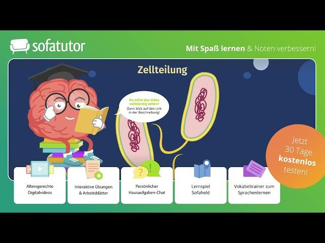 Bakterien – Aufbau einfach erklärt – Biologie 7. & 8. Klasse