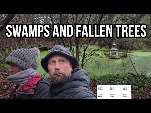 Swamps and Fallen Trees | Walking around the Warwickshire Countryside 7.6 Mile Circular