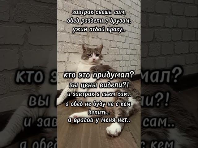 не буду не с кем делиться#батон#котик#юмор#шортс#2025 .
