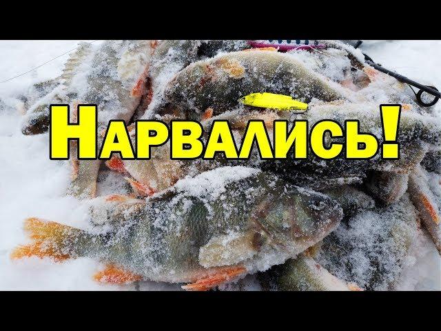 ЗИМНЯЯ Рыбалка. с НОЧЕВКОЙ. Ратлин. Виб. Vib. Не первый лед.Окунь  со льда.