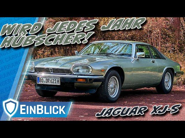 Mehr STIL & STYLE pro €! Jaguar XJ-S 3.6 (1989) - Zeitloser Klassiker für jedes Budget?