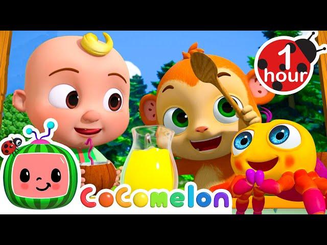 Itsy Bitsy Lemonade + More CoComelon Animal Time - Learning with Animals Nursery Rhymes for Kids