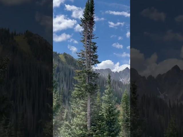 Biking to American Lake in Colorado #mountains #biking #hiking #trails #mountainbiking