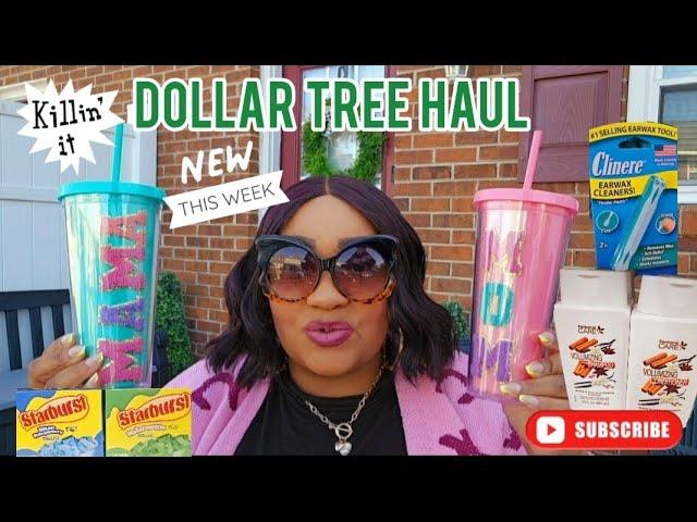 Dollar Tree Local New Arrivals Haul | Quick In-Store Shop With Me