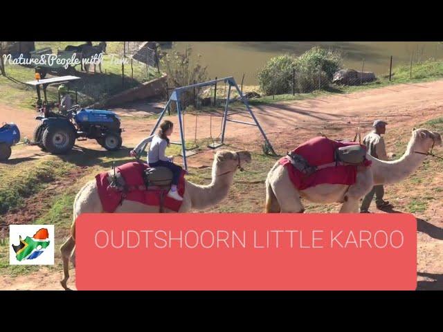 Drive Through Oudtshoorn, the Little Karoo and things to do.