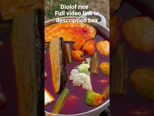 Thiebou dieune/diolof rice/riz au poisson/Rice con pescado
