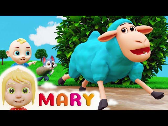 Baa Baa Black Sheep | Mary Nursery Rhymes & Kids Songs