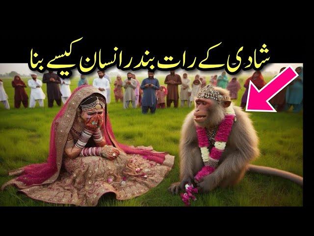 Badshah ne Apni satvin beti ki Shaadi Bandar Se Kar Di | Moral story Urdu Kahani | interesting Story