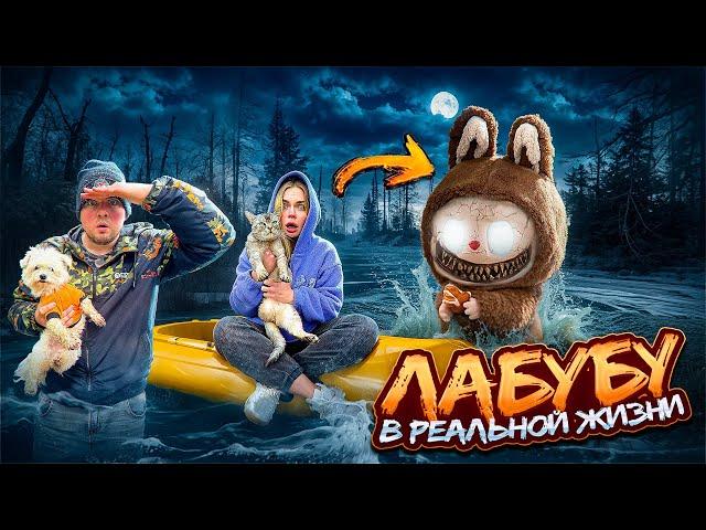 ЛАБУБА В РЕАЛЬНОЙ ЖИЗНИ | 24 ЧАСА В ЛОДКЕ С КОТОМ И СОБАКОЙ