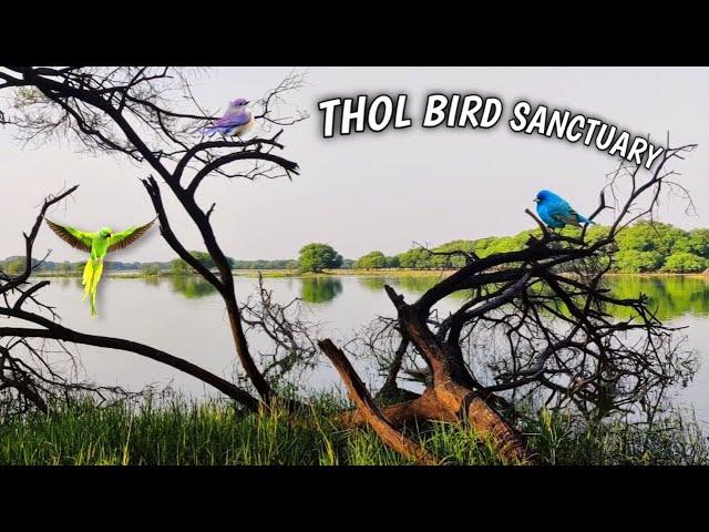 Thol Bird Sanctuary | Thol | Nilesh Kanzariya |