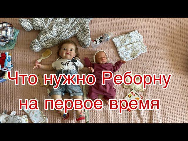 Что нужно Реборну на первое время