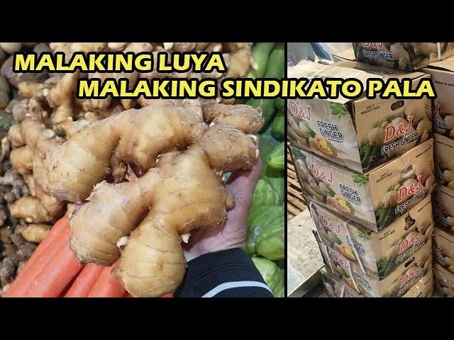 Napakalaking Pera ang Kinita Nila | Magugulat kayo sa Nalalaman ko kung Bakit ang Mahal ng LUYA.