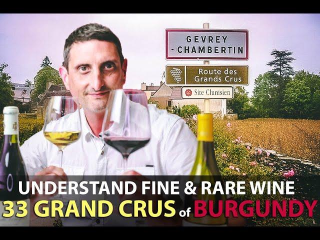 What makes the 33 Grand Crus of Burgundy Unique? | Best Bourgogne Wines Explained