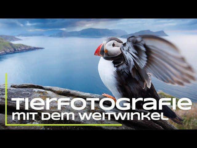 Tierfotografie mit dem Weitwinkel - Das musst du beachten!