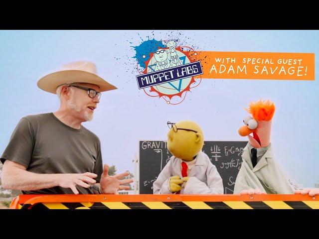 Muppet Labs Field Test: Gravity! Featuring Adam Savage | The Muppets