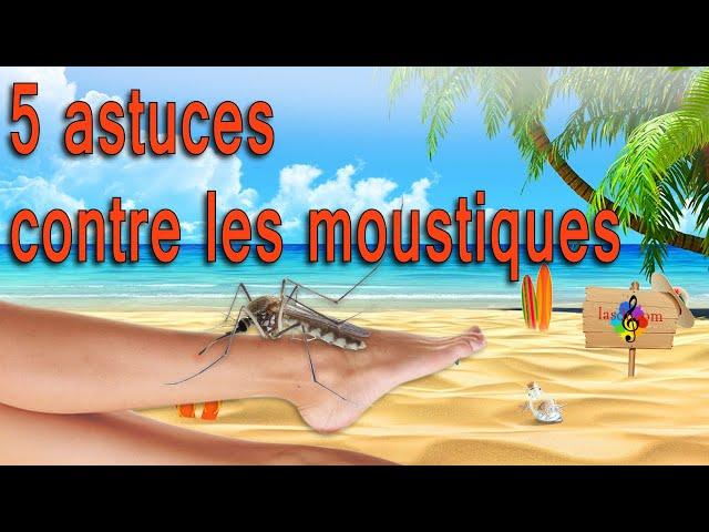 Top 5 des astuces pour se débarrasser des moustiques naturellement.