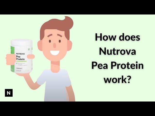 How it works: Nutrova Pea Protein - high quality vegan protein