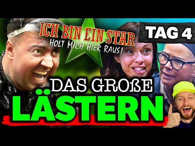 "Du BIEST!" ERWISCHT beim LÄSTERN! GIGI zofft sich mit Tessa! Dschungelcamp 2023 Tag 4