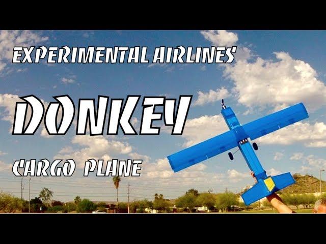 DONKEY RC Cargo Plane