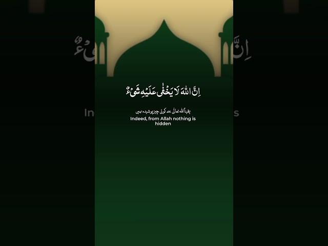 8 June 2025