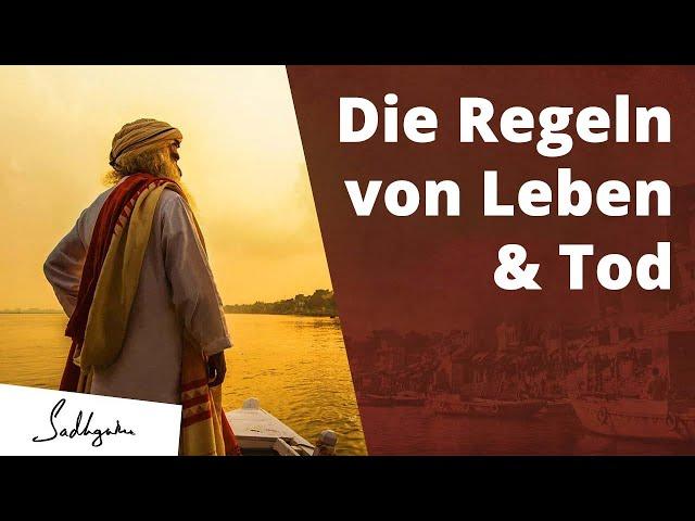 Die Regeln von Leben & Tod