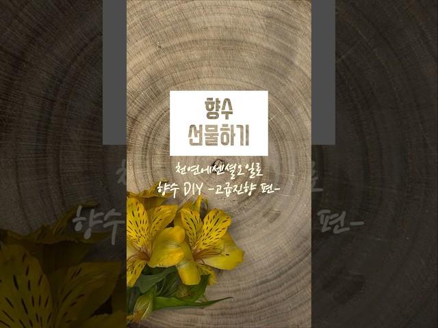 천연 고급 에센셜 향수만들기  인공향료️ 인공착색료 ️ #도테라오일 #향수공방 #향수만들기