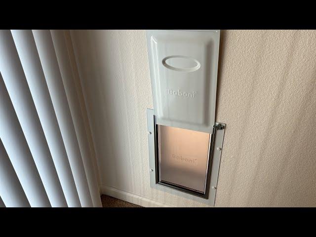 Baboni Pet Door for Wall REVIEW