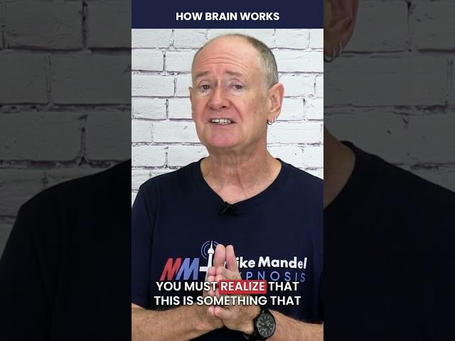 Do you know how the brain works?