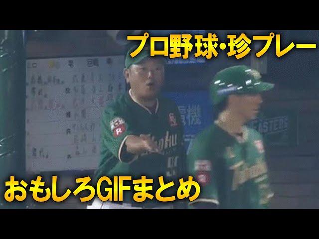 【大量】プロ野球・珍プレーおもしろGIFまとめ【笑ったら負け】