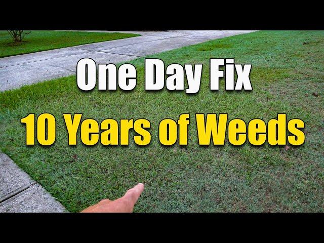 How to Fix an Ugly Lawn - Killing Lawn Weeds